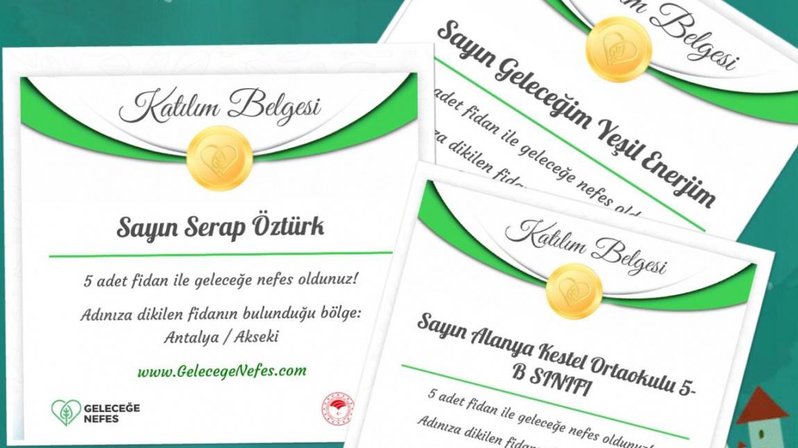 eTwinning Geleceğim, Yeşil Enerjim