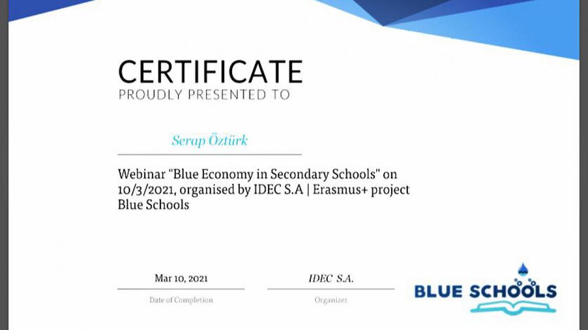 BLUE SCHOOLS PROJE SERTİFİKASI